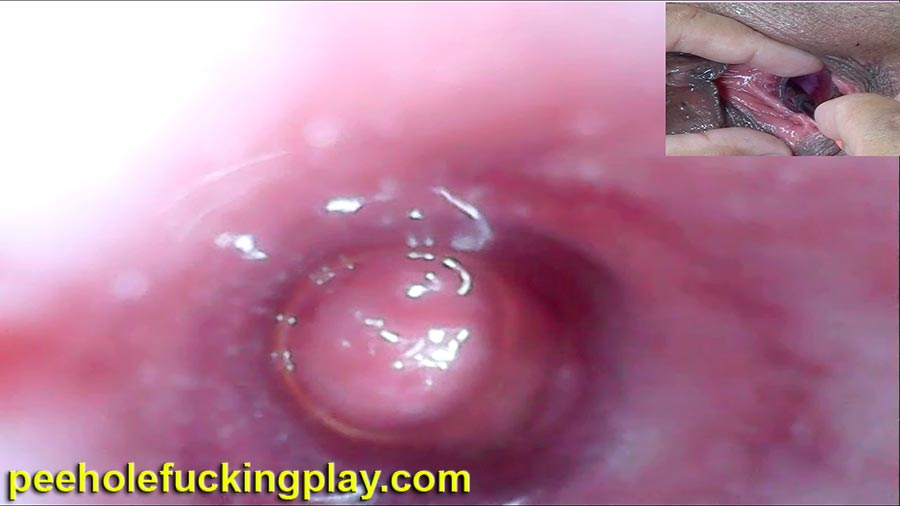 Lesbians extreme peehole fucking porn and cervical insertion